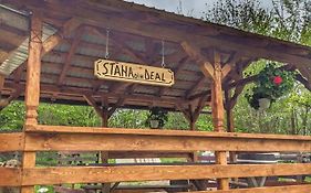 Cabana „Stâna din Deal”