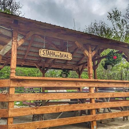 Cabana „Stâna din Deal” Provita de Sus Exterior foto