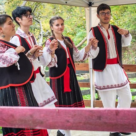 Cabana „Stâna din Deal” Provita de Sus Exterior foto