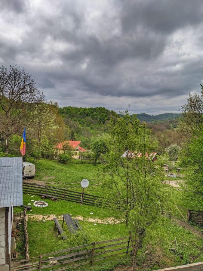 Cabana „Stâna din Deal” Provita de Sus Exterior foto