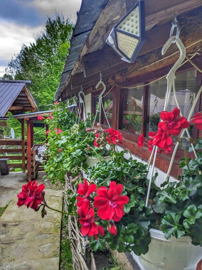 Cabana „Stâna din Deal” Provita de Sus Exterior foto