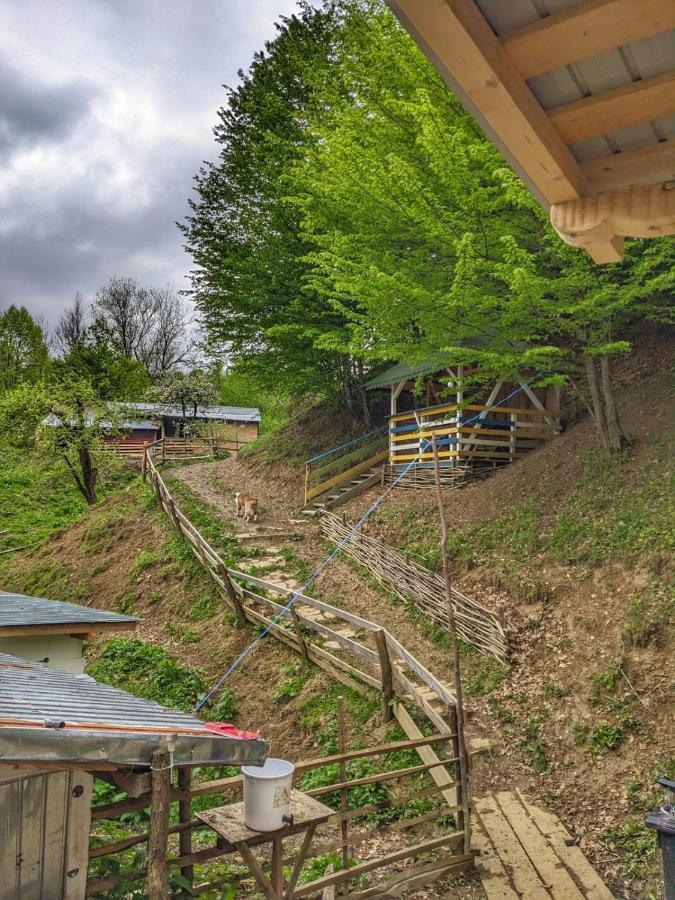 Cabana „Stâna din Deal” Provita de Sus Exterior foto