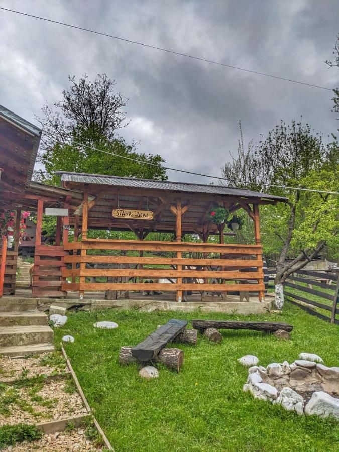 Cabana „Stâna din Deal” Provita de Sus Exterior foto